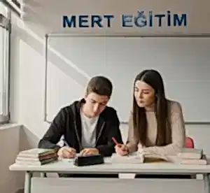 edebiyat-birebir-ders-ozel
